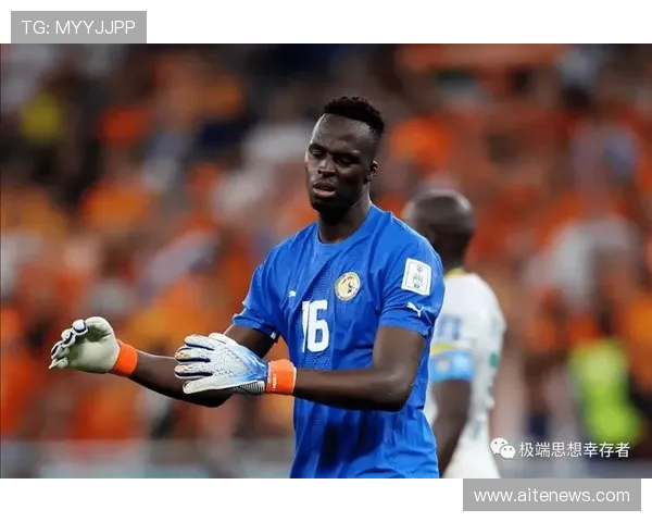 卢卡库在国际赛场的表现分析与未来发展趋势探讨