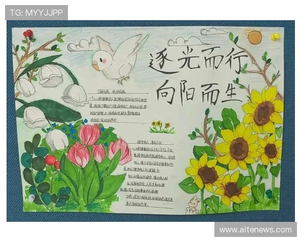 景菡一的成长之路与心灵探索：在追寻梦想的旅程中绽放光彩