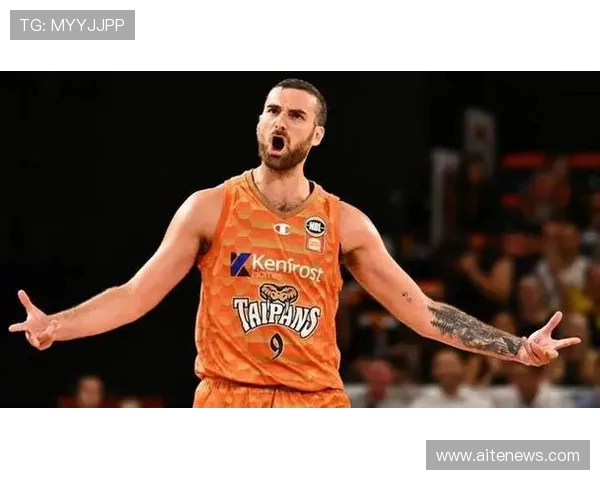 波斯野猫与坎斯大班的精彩对决与生存智慧探讨 波斯野猫与坎斯大班的精彩对决与生存智慧探讨