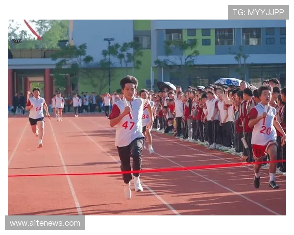 陈敏独家分享飞盘技巧与心得体会助你轻松掌握这项运动的乐趣与魅力