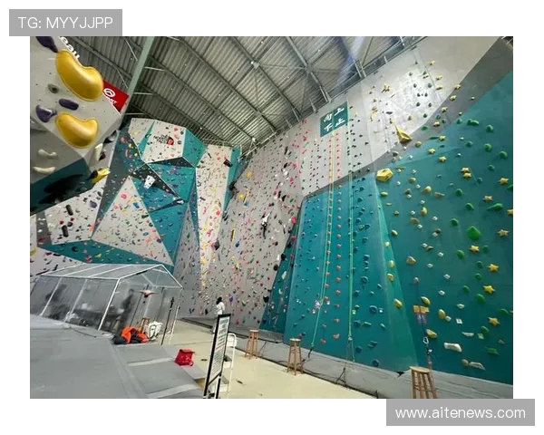 上海攀岩队防守革新之路探索与实践的深度剖析 上海攀岩队防守革新之路探索与实践的深度剖析