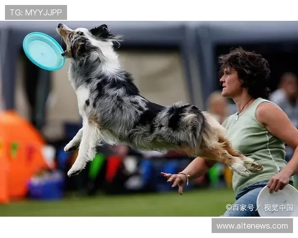 南京飞盘队耐力表现数据分析揭示运动员训练效果与比赛策略的深度关系