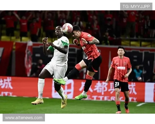 成都排球队团队协作引发热议球迷对战术配合和默契度的不同看法